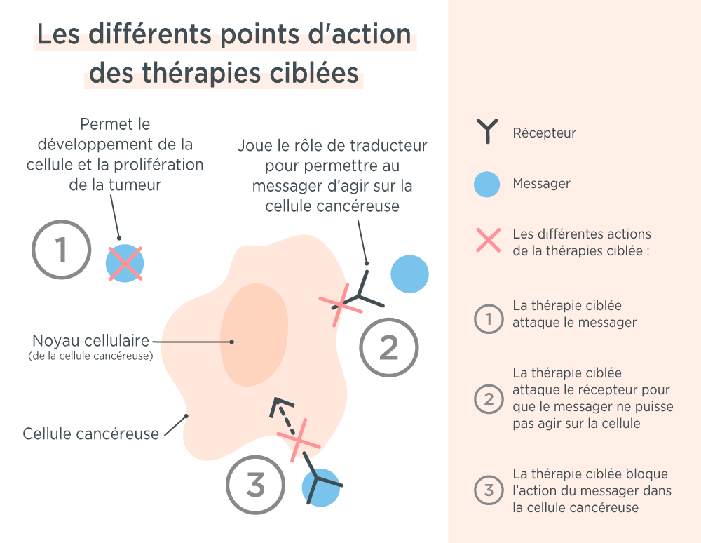 Traitement+novateur+de+l%27hyperthyro%C3%AFdie+%3A+la+th%C3%A9rapie+cibl%C3%A9e+r%C3%A9volutionne+les+soins