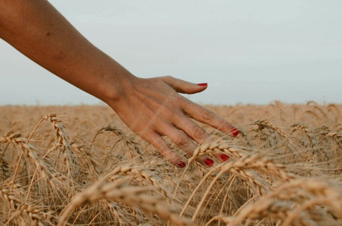 L’oxydation : le coupable invisible de la fragilisation des ongles